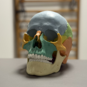 Terapia szczęki i stawów skroniowo-żuchwowych